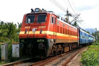 Elderly man dies after being hit by train