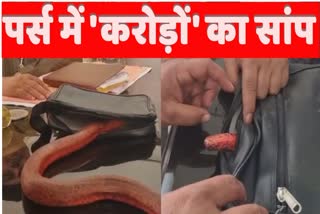 Red Sand boa Snake Purse Smugglers Arrested Yamunanagar Police Haryana News