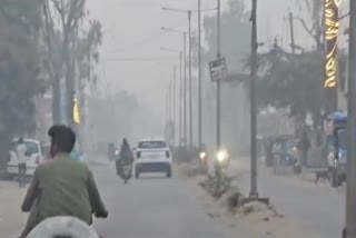 Cold And Smog In Haryana