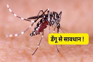 Dengue Alert in Indore