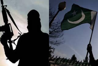 Kashmir Pakistani Terrorist  Killed In  Kashmir Encounte