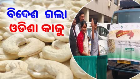 Odisha Exports Cashew To Bangladesh