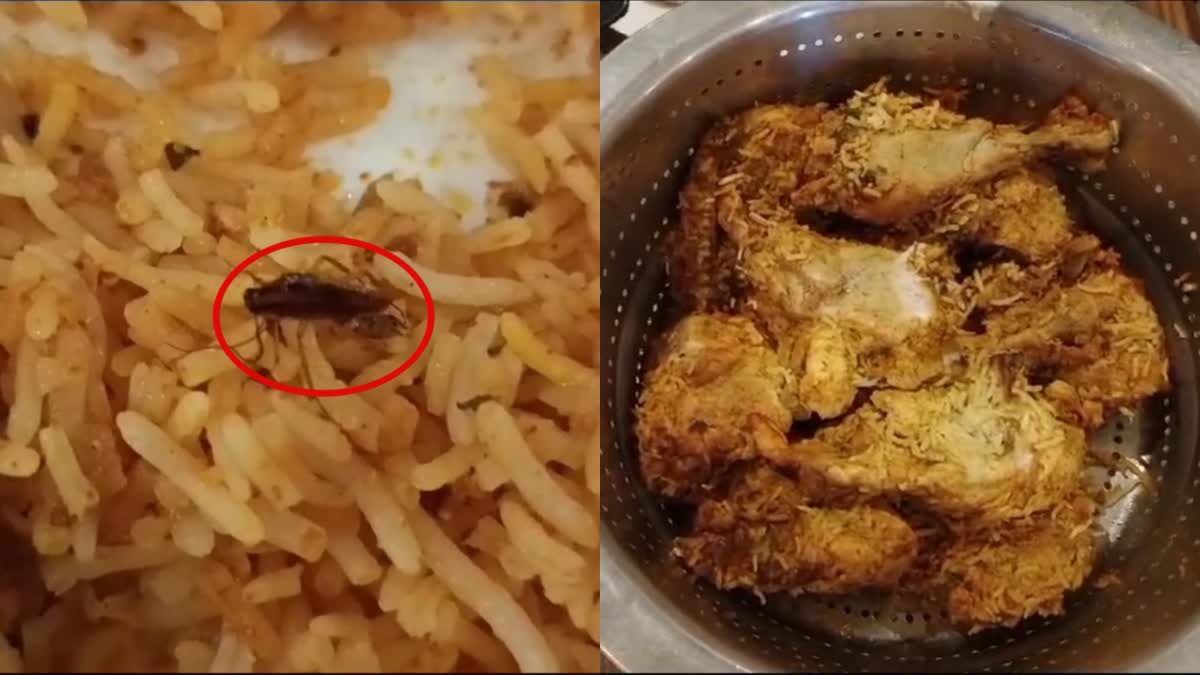 Cockroach in Biryani