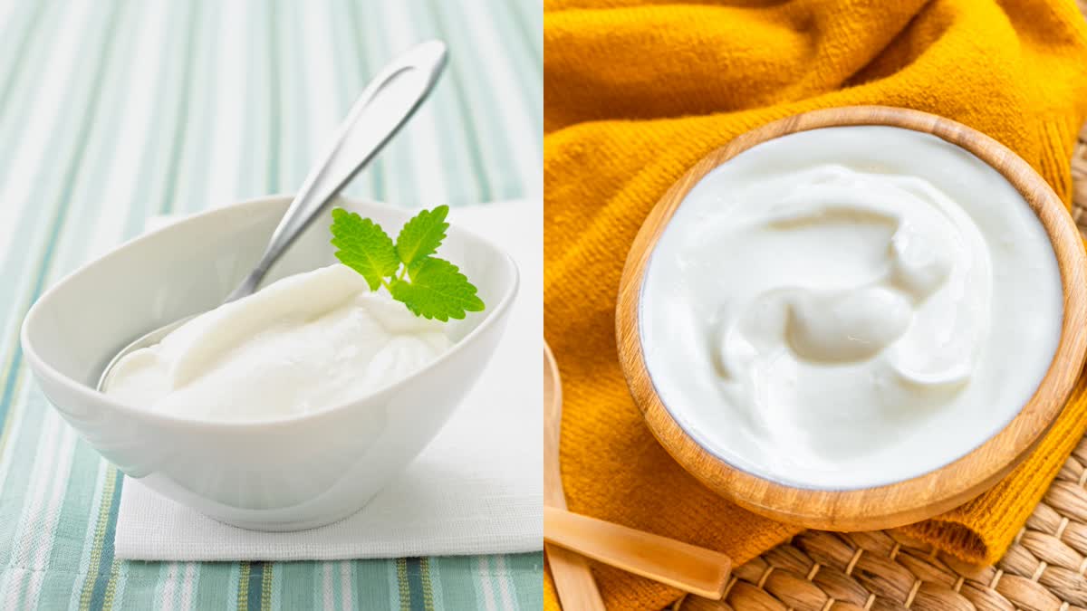 Health Benefits of Curd