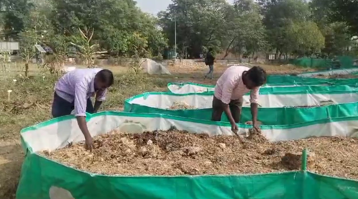 HNB Garhwal University Made Organic Pesticide Vermiwash