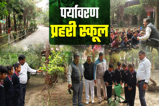 plantation in karnal school