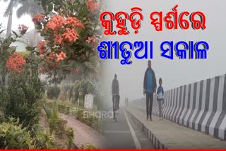 DENSE FOG BLANKETS BOUDH