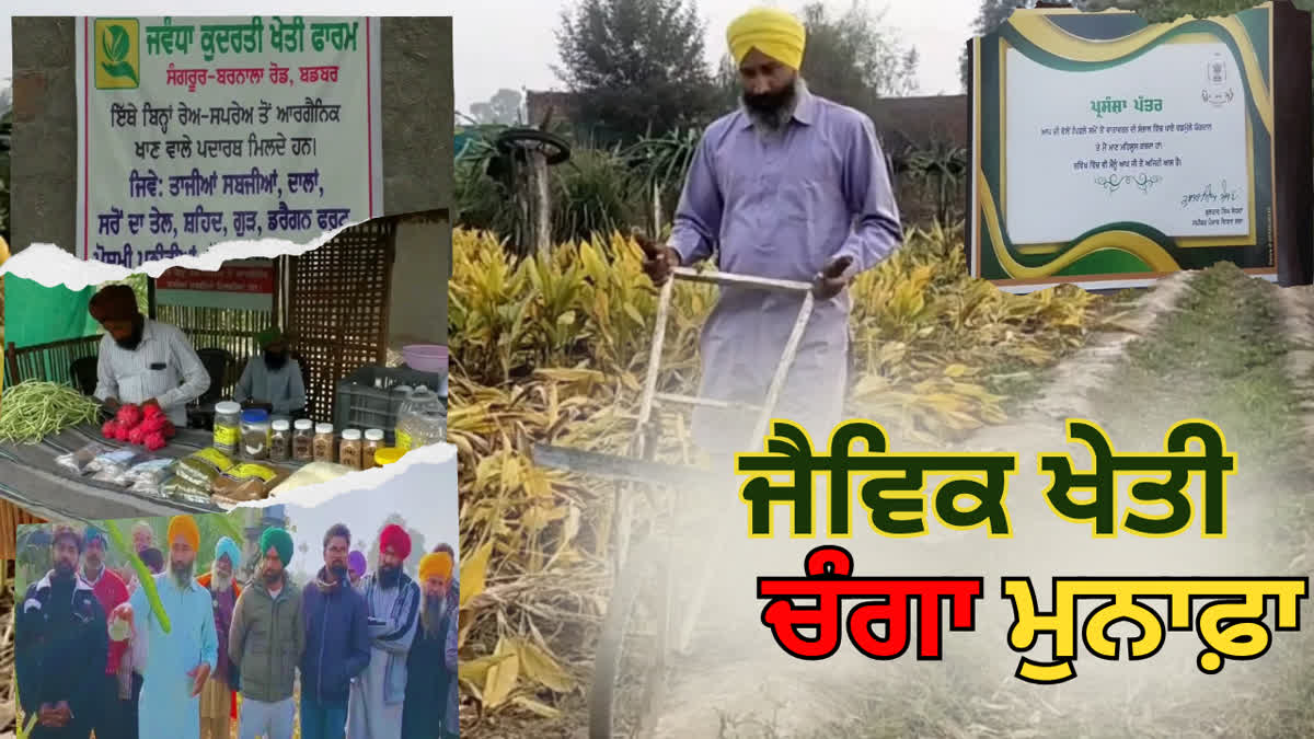 Organic Farming in Punjab