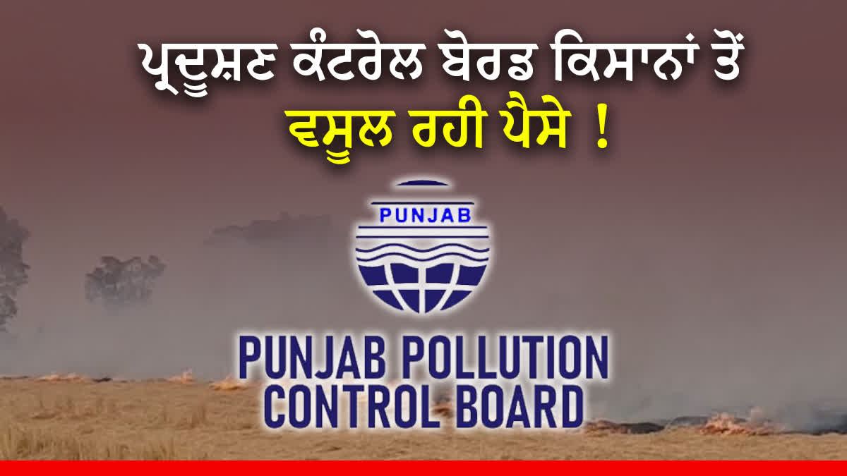 Challan On Stubble Burning In Punjab, Bathinda