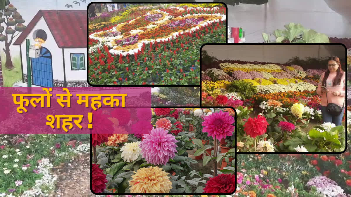 Flower exhibition at Gopal Maidan Jamshedpur