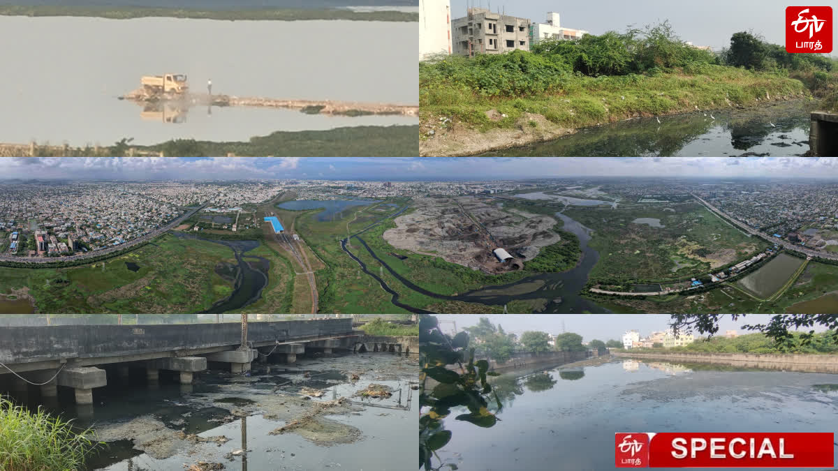 Wastewater stagnant in Pallikaranai Wetland Social activists accuse the government for Velachery Lake encroachment