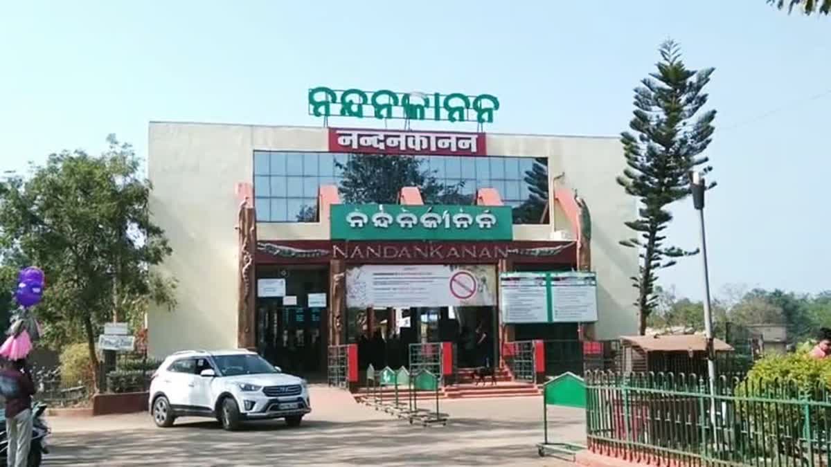 Nandankanan