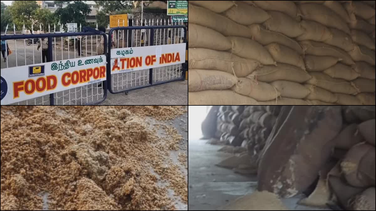 ration rice Damage in Food Corporation of India godown in Thoothukudi floods