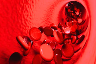 Low Blood Platelets