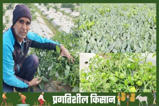 organic farming in haryana