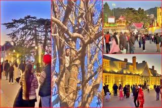 Controversy Over Decoration Of Trees In Shimla