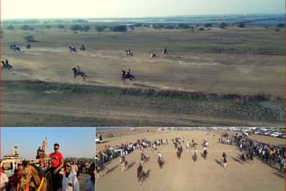 60-horses-participated-in-the-horse-race-organized-at-lavachha-village-in-surat
