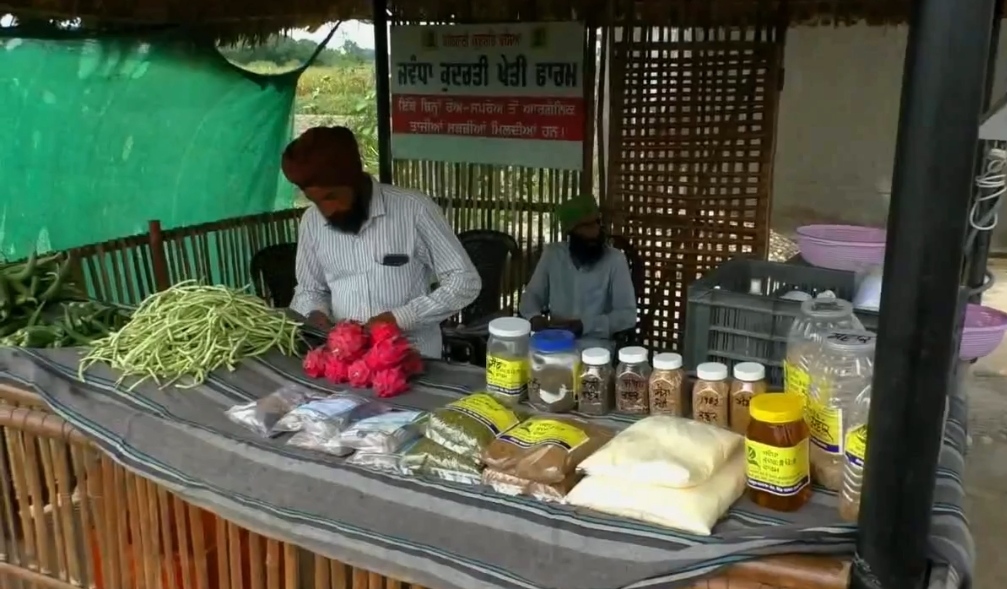 Organic Farming in Punjab