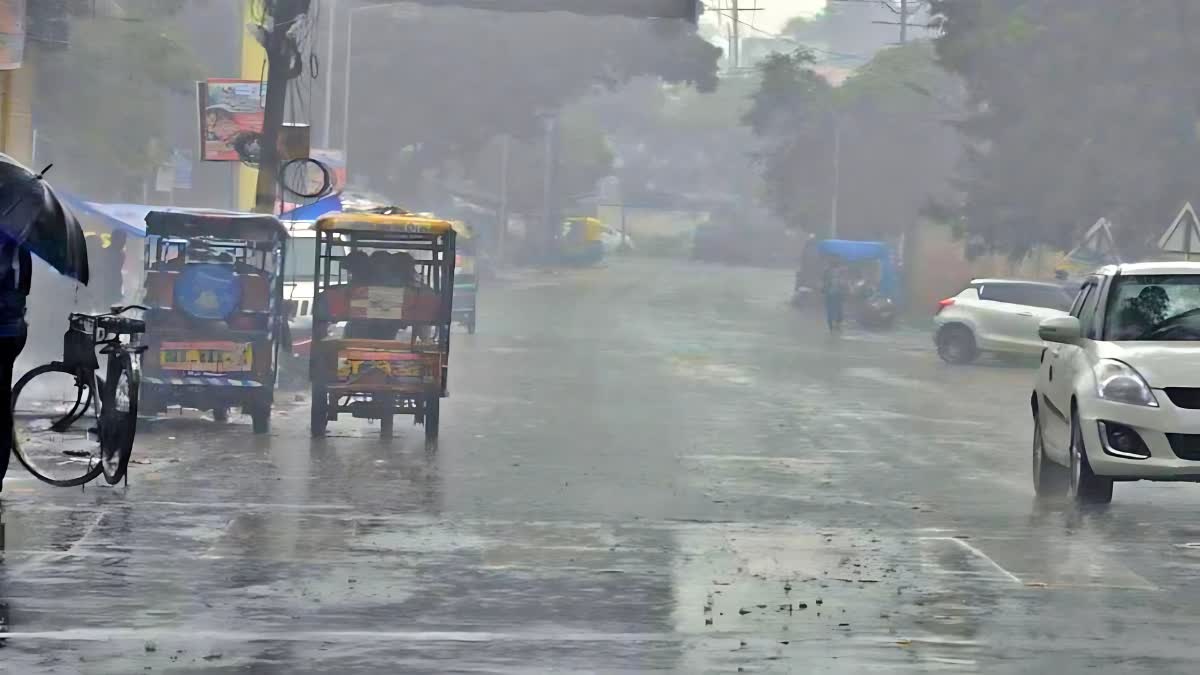 Rain Forecast In Bihar