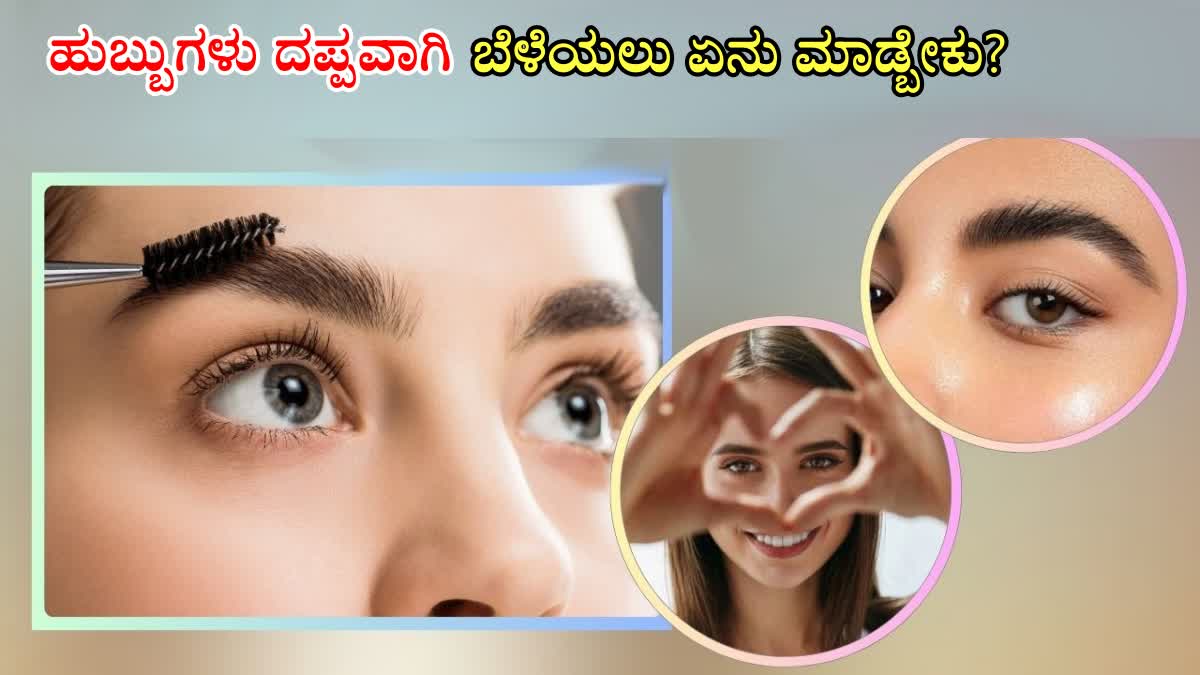 THICKER EYEBROWS REMEDIES  NATURAL REMEDIES FOR THICK EYEBROWS  EASY WAYS TO GROW THICKER EYEBROWS  BEAUTY TIPS FOR EYEBROWS