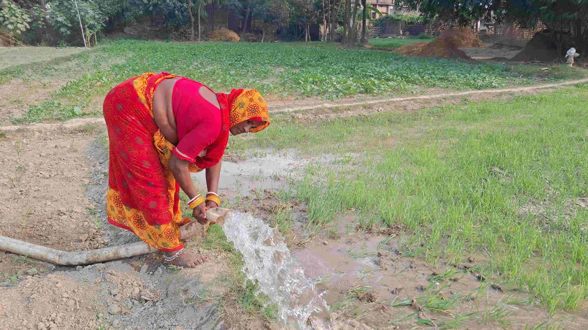 Solar Energy Is Changing Rural Women's Lives in Bihar