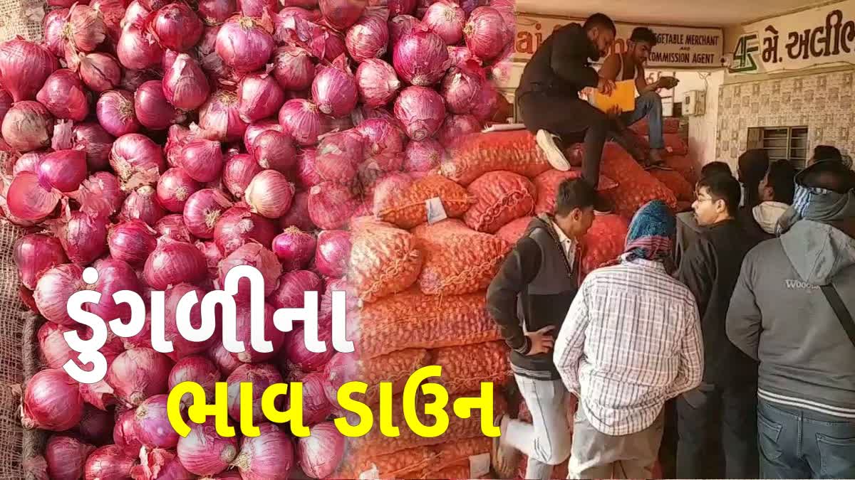 જુનાગઢ APMCમાં ડુંગળીના ભાવ તળીયે ગયા