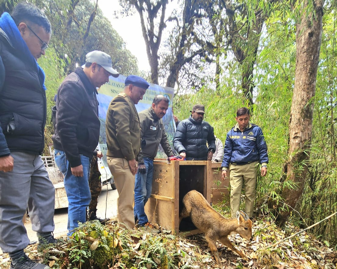 ECOSYSTEM IN FOREST