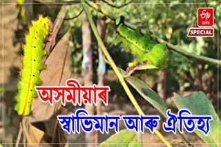 Khanapara Muga Seed Development Project