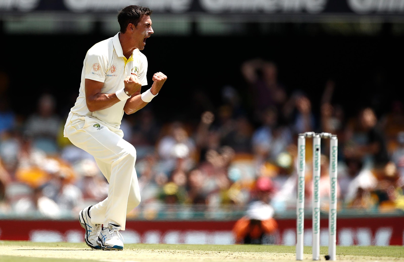 Starc to be back in Australia squad