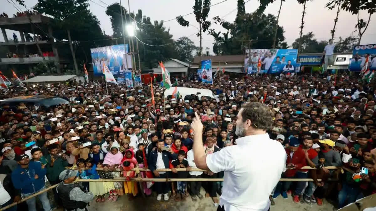 Rahul Gandhi's West Bengal leg of the Bharat Jodo Nyay Yatra begins in the wake of both TMC and AAP deciding to go it alone in West Bengal and Punjab respectively.