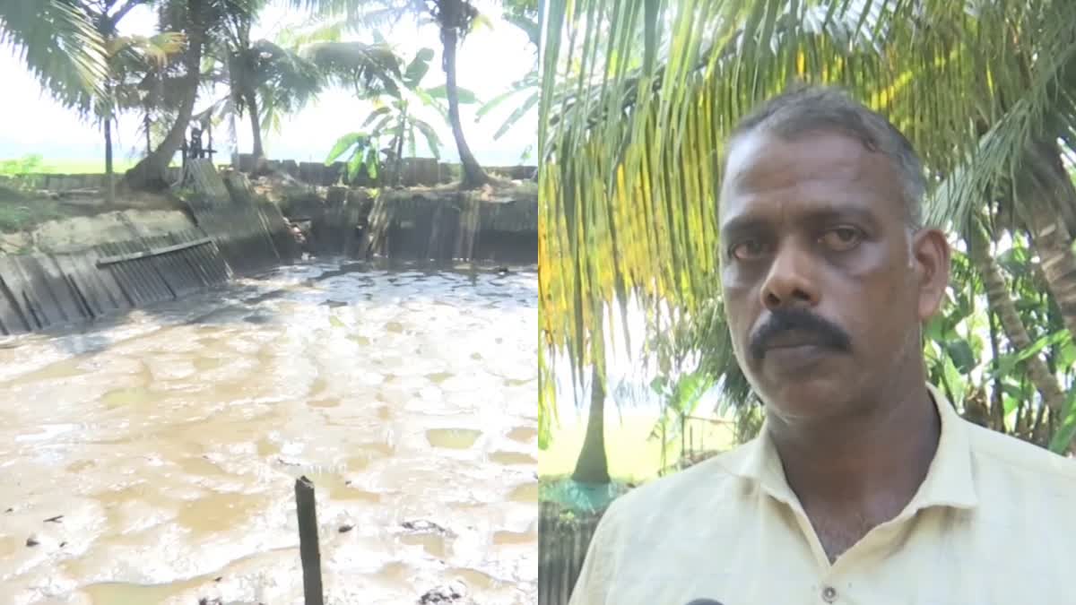 otters destroyed fish farming  fish farming in Aymanam Kottayam  മത്സ്യ കൃഷി നശിപ്പിച്ച് നീർനായ്ക്കൽ  അയ്‌മനത്ത് മത്സ്യ കൃഷി നശിപ്പിച്ചു