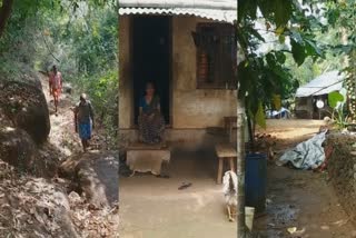 Vazhakol colony  Kasargod  kerala forest tribal area  കാസർകോട് വാഴക്കോൽ കോളനി  ആദിവാസി കുടുംബങ്ങൾ ദുരിതത്തില്‍