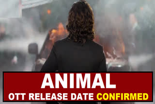 Animal OTT release