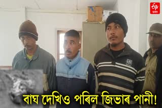three men arrested for eating a tiger in assam