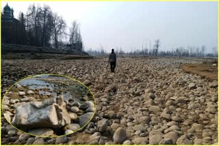 climatic-change-kashmir-famous-river-lidder-dried