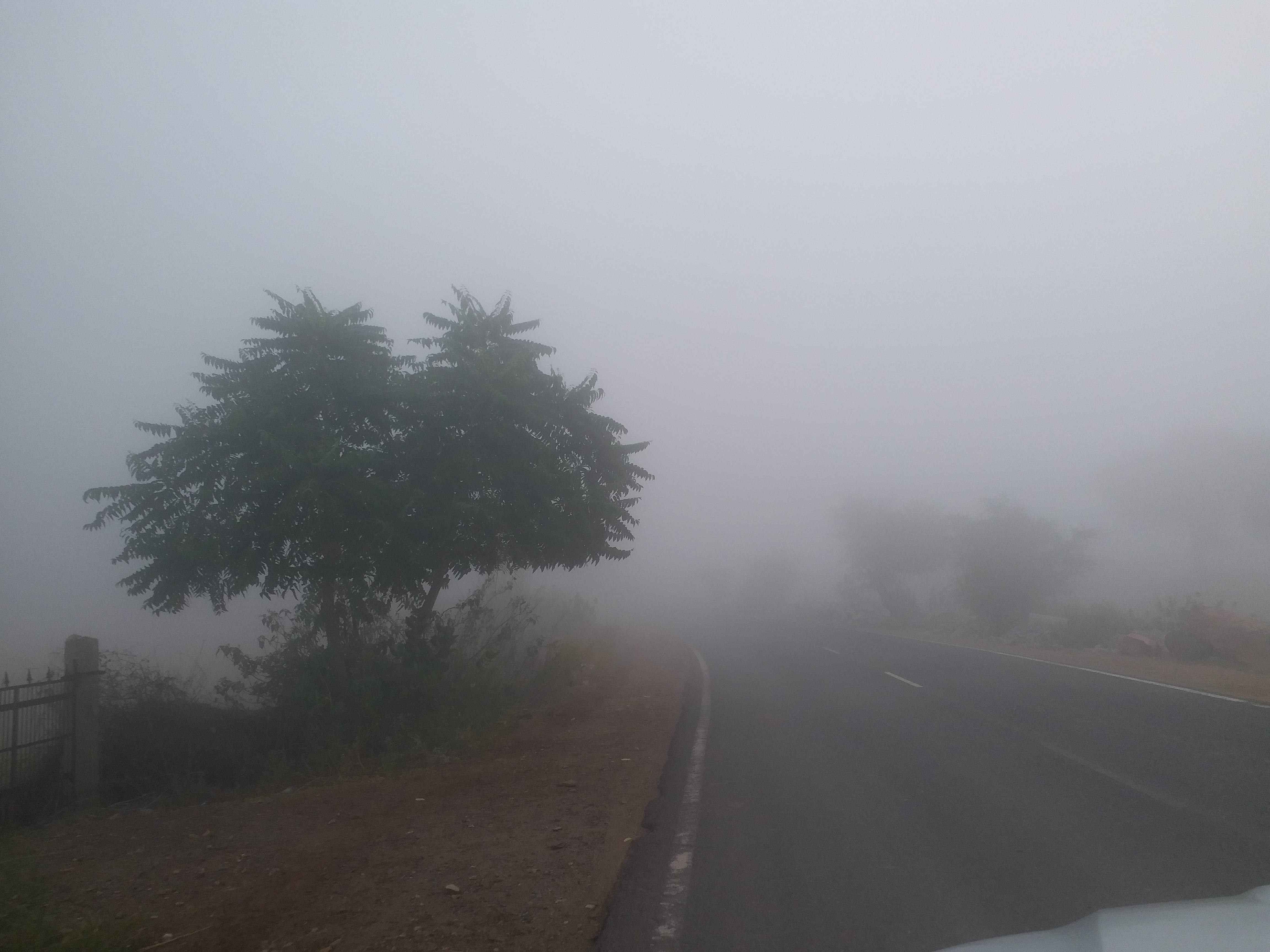 Dense Fog in Jaipur