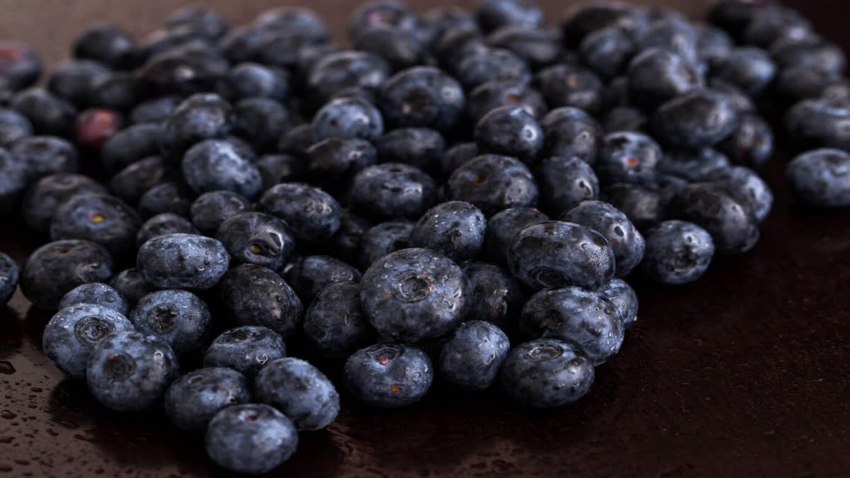 BLUEBERRY BENEFITS FOR SKIN  WHAT HAPPENS EAT BLUEBERRIES DAILY  SURPRISING BENEFITS OF BLUEBERRIES  ബ്ലൂബെറിയുടെ ആരോഗ്യ ഗുണങ്ങൾ