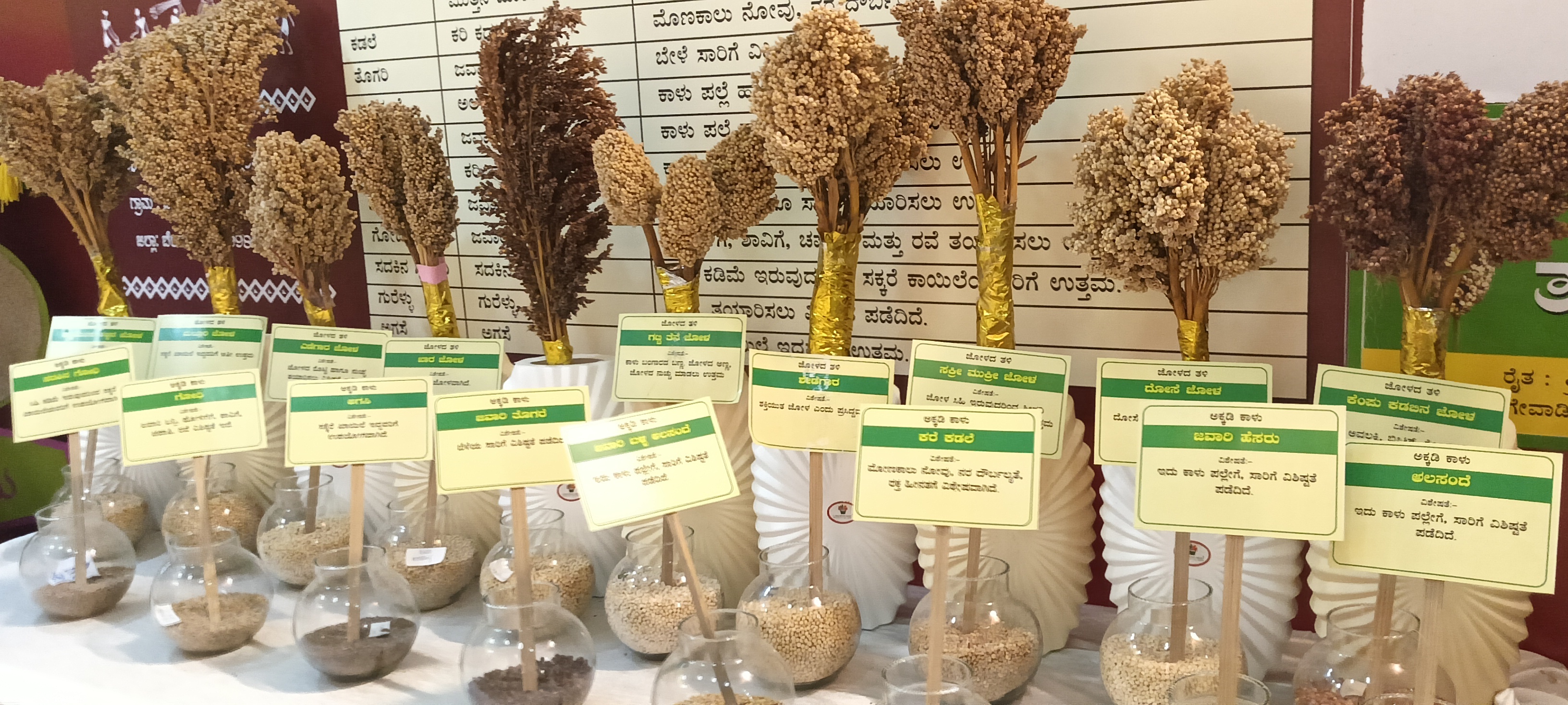 INTERNATIONAL ORGANIC MILLET FAIR