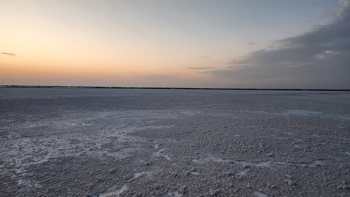 White Rann of Kutch