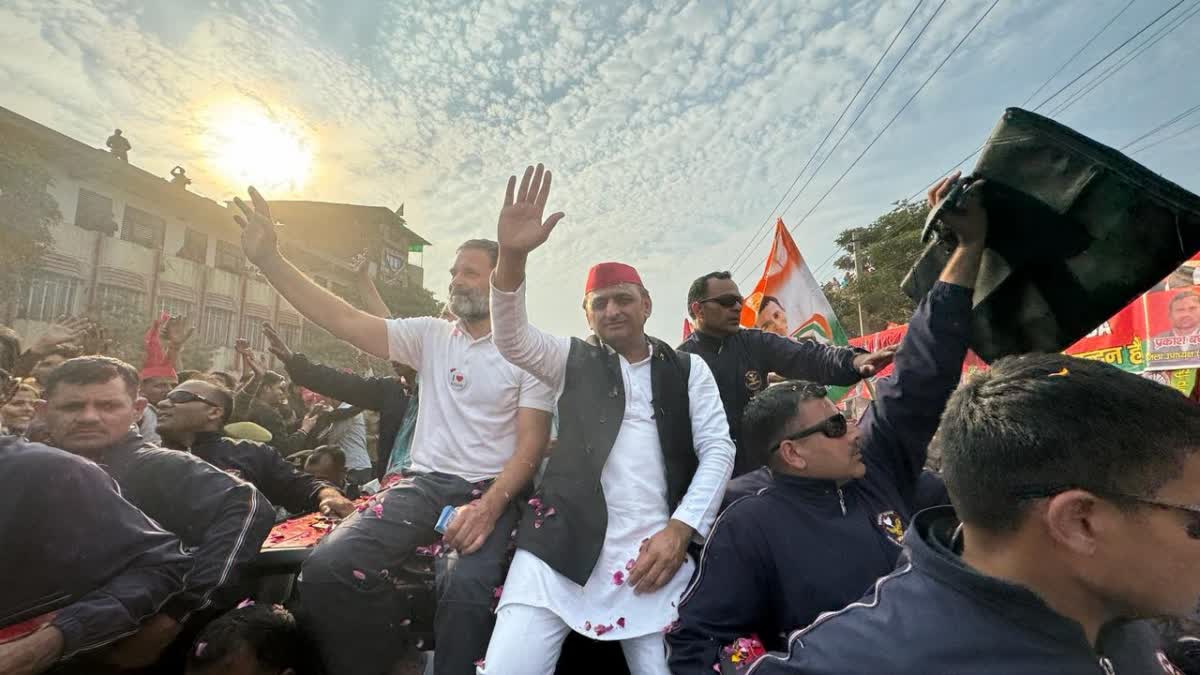 Akhilesh Yadav join Bharat Jodo Nyay Yatra