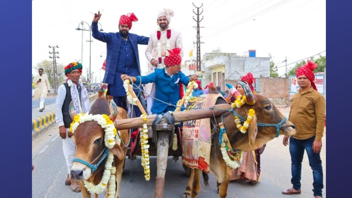 Unique wedding in Bhilwara