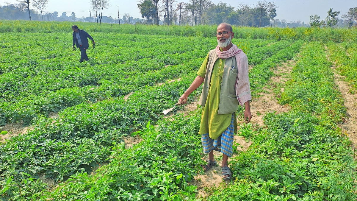 गोपालगंज का डॉक्टर किसान