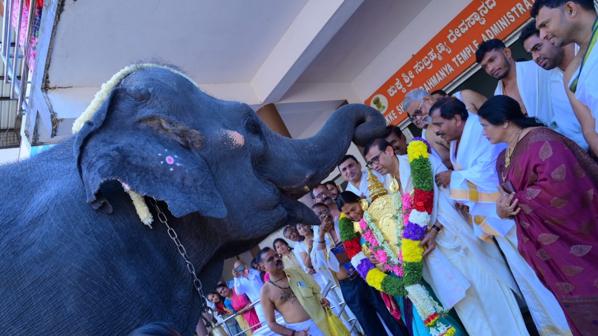 devotee gave gold to Kukke Subrahmanya temple