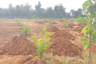 Illegal_Soil_Mining_In_Eluru_District