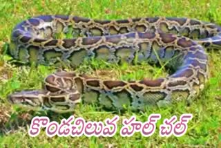 Python_At_YSR_District