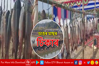 Traditional fishing in Assam