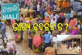 ବିଜ୍ଞାପିତ ଅଞ୍ଚଳ ଘୋଷଣା ପରେ ନିଆଳିର ଭାଗ୍ୟ ବଦଳିବ ତ ?