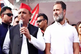 Akhilesh in Bharat Jodo Nyay Yatra