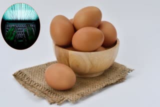 Eggs Offer Scam In Bengaluru