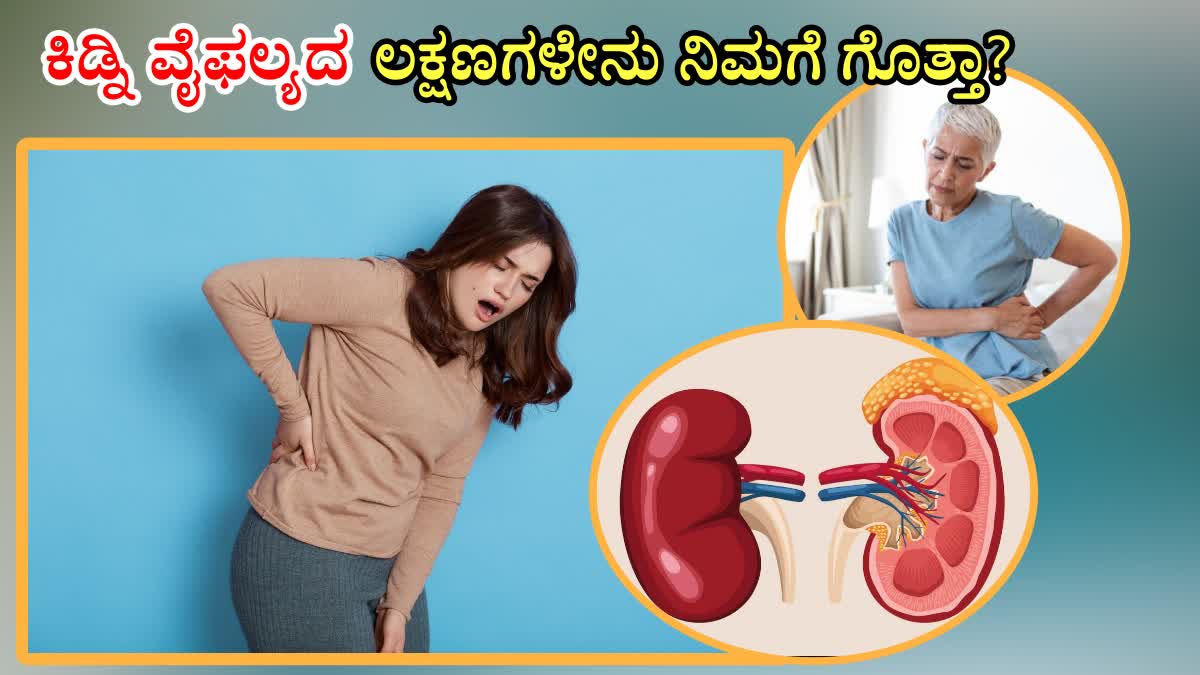 ACUTE KIDNEY FAILURE  HOW TO STOP KIDNEY DAMAGE  WHAT IS CHRONIC KIDNEY DISEASE  KIDNEY FAILURE SYMPTOMS